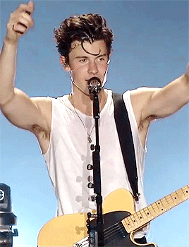  Shawn Mendes   adult photos