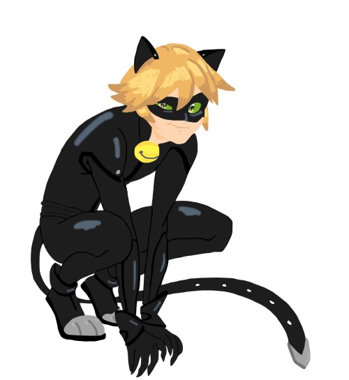 Happybestkiara Chat Noir Miraculous Ladybug Anche Questa Happybestkiara Chat Noir Miraculous Ladybug Anche Questa