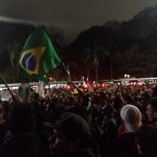 ✊ #forabolsonaro #forasalles #prayforamazonia (at Av Paulista Trianon)https://www.instagram.com/p/B