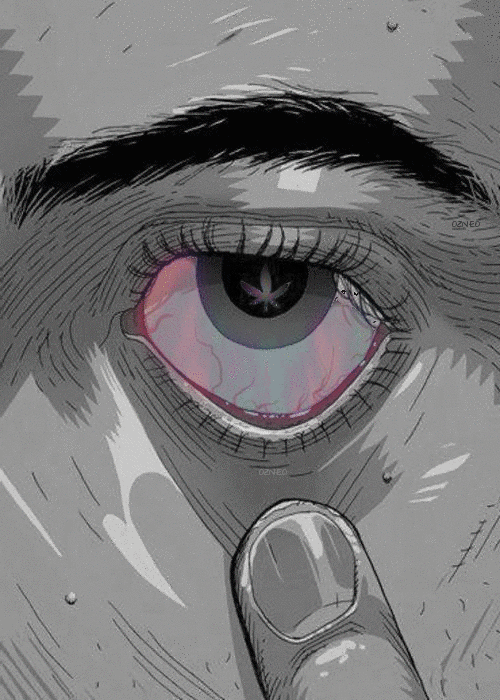 where is my mind?﻿