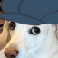 nomoreheterotv