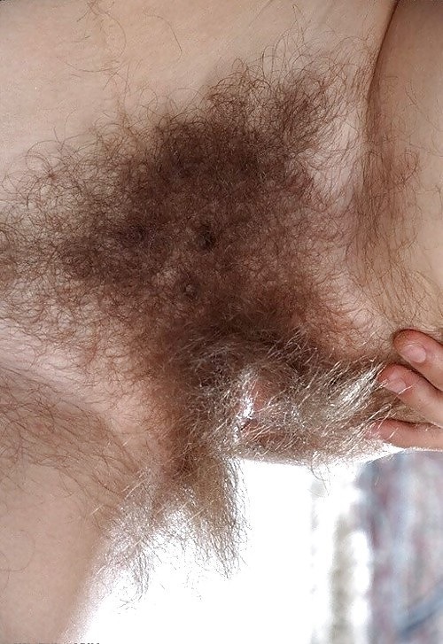 hairycommunity:  Nice long pubes  great pic, love the light on the hair