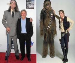 swayisme:  paintedcowboy:  kittenesque: myathesquishyoctopus:  ziusik:  oh my god  crying  is that a lightsaber cane!?    Peter W. Mayhew (19 May 1944 – 30 April 2019)  Rest in peace Chewie.May the force be with you.  Literally… Tears!
