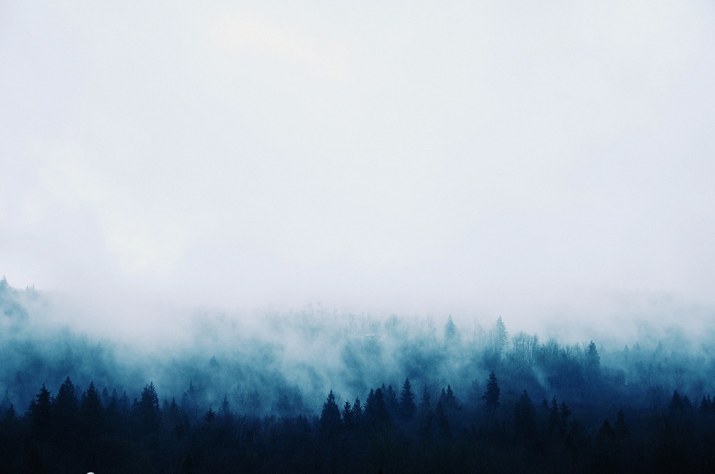 givncvrlos:  Mist (by Michellisphoto) 