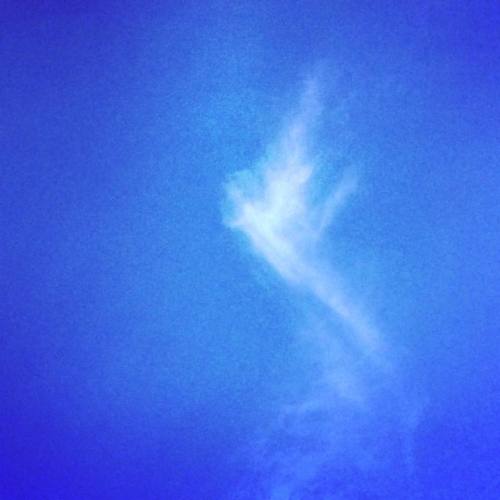 I Was Working Out @wellington Park #Pdx And This Appeared Above Me. #miracles #fourthofjuly #love #summer