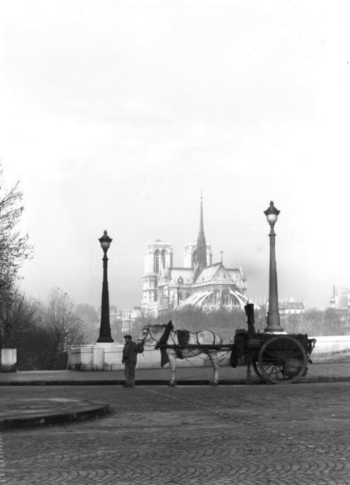 birdsong217:Rene Jacques. Notre-Dame - Pont de la Tournelle. Paris, 1947.