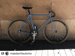 glastocycles: #Repost @maedamitsutomo (@get_repost) ・・・ 🍂 #pottering #chari #fixedgear #bicycle #fixie #trackbike #fixed #fixiebike #fixiegram #fixedgram #fixieporn #fixiestyle #fixedlife #njs #pist #pistbike #pista #keirin #cycle #cycling #velo