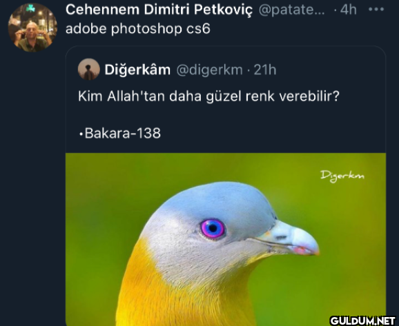 Cehennem Dimitri Petkoviç...