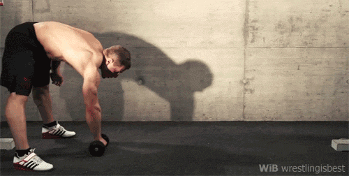 ambitionperfection:  guy-fitblr:  Please sir, can I have some core?  I didn’t even know that was phy