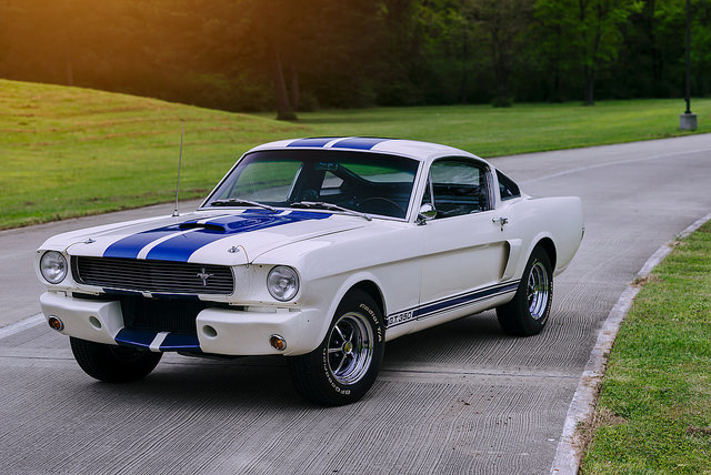 Ford Mustangs