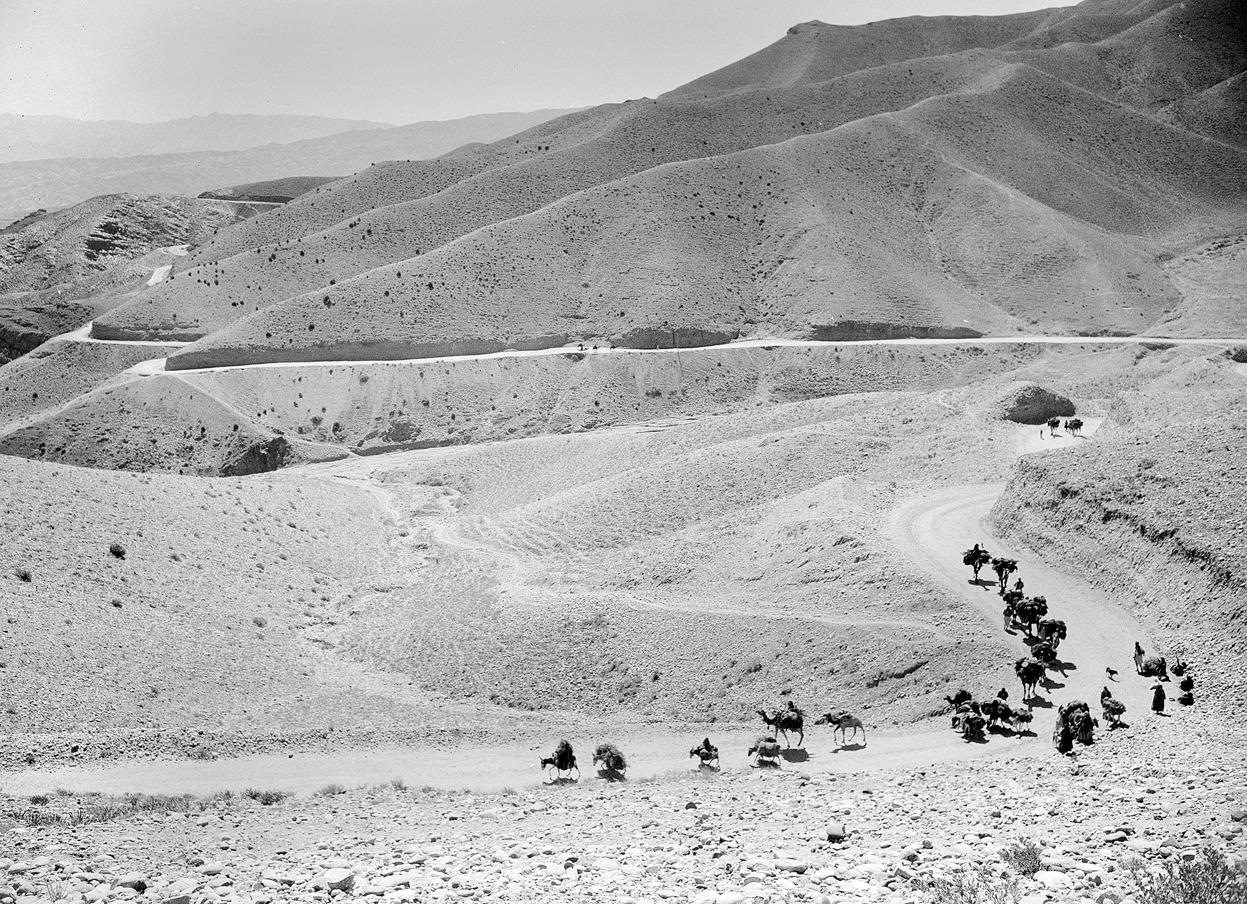 olio-ataxia:  ‘A caravan of mules and camels cross the high, winding trails of
