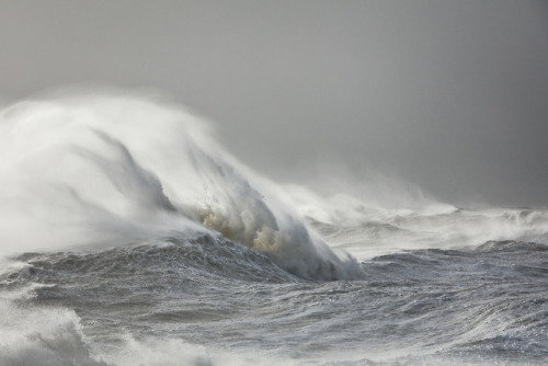 itscolossal:Mythical Creatures and Greek Gods Leap From Waves Captured off the South Coast of Englan