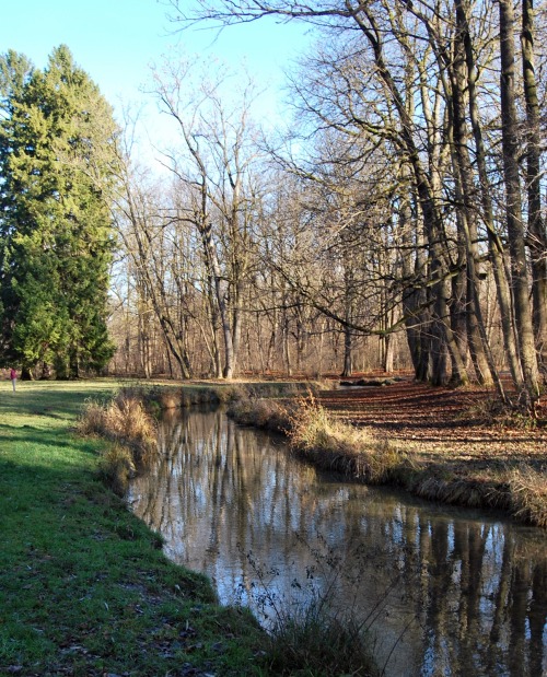 blutundrunstig:  Welcoming December at Englischer Garten  