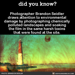 did-you-kno:    The developed film has been corroded by the same chemicals humans have imposed upon the environment being photographed.     “What happens to the initial amount absorbed into the ground? Or by the plants or animals that are there at the