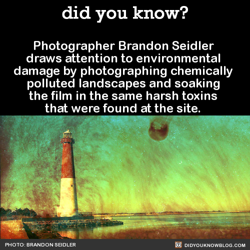 did-you-kno:The developed film has been corroded by the same chemicals humans have imposed upon the 