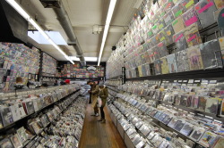 allewollenaltbau:  bleecker street records, south of west village, bleecker st, ny - one of the record stores we gonna miss; you can find here everything from the 60s or earlier up to this day, or they order it for you. and they have the fattest cat lying