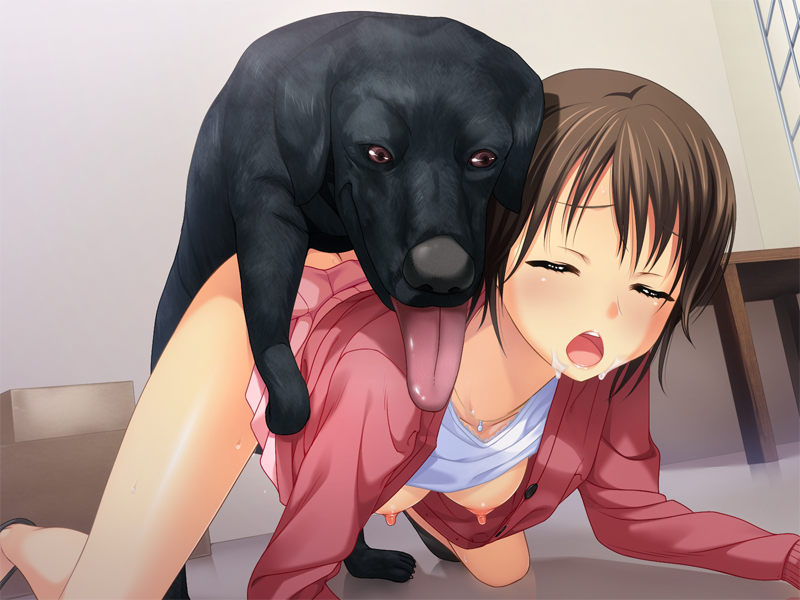 kitty-kat-girl:  One of the many tasks I had to do is keep the more troubled and