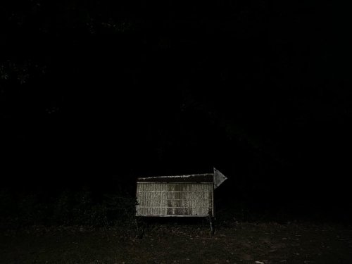 @/mothercain. Twitter, 17 Nov 2021.