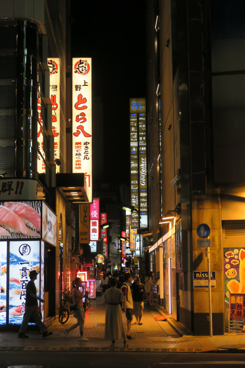 ninetail-fox:night ,Yushima