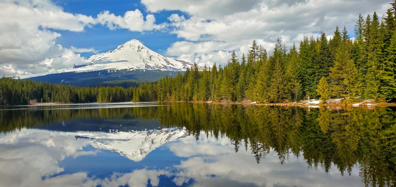 Mount Hood, Oregon. (4032x1908) [OC] - Author: rouneezie on reddit #nature#travel#landscape#amazing#beautiful