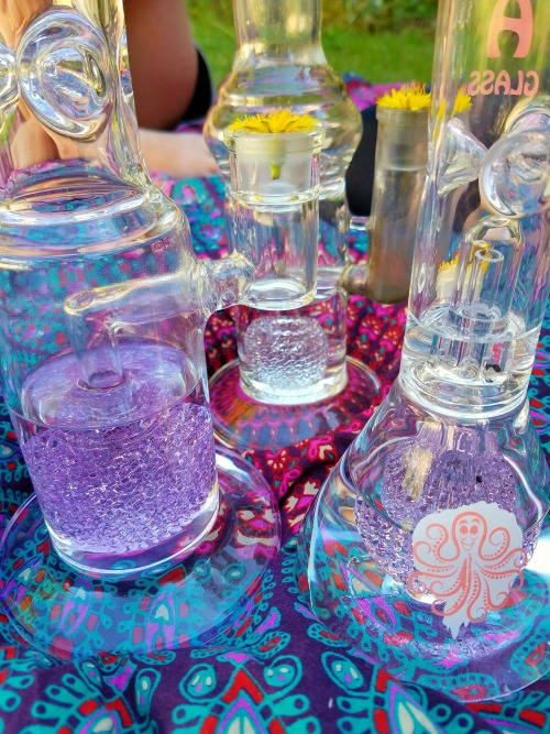 doobiedrewbie:Cute lil nug of Big Bang and some pineapple perc bongs.