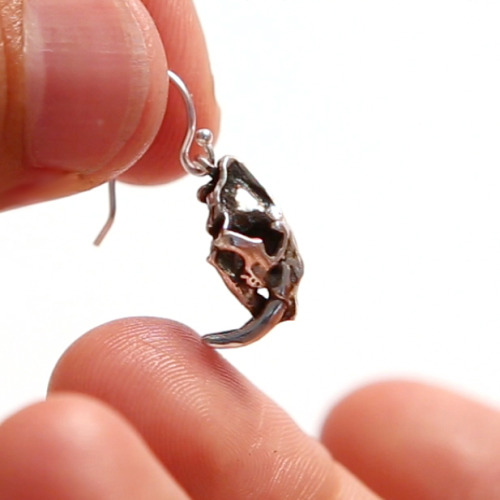 New Kickstarter Collection!We’ve added 3 amazing new dinosaur skull pendants, 3 new prehistoric earr