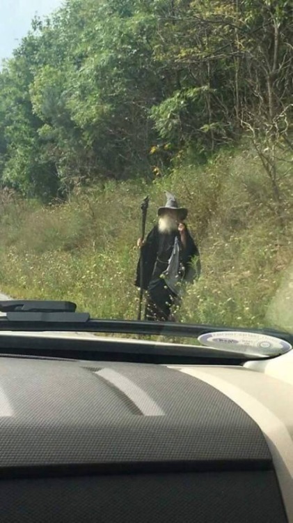 odinsnotwearingmakeup:Gandalf Coming Out of His Forest to Shame Mankind (2017)