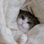 sweetynk