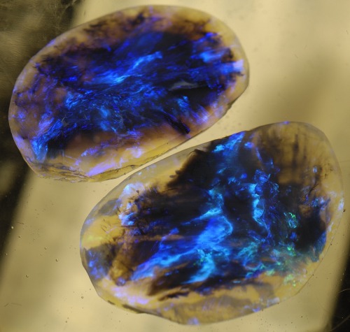 fangirltothefullest:  running-barefoot-thru-the-forest:  thecranewife:  the-science-llama:  Lightning Ridge Black Opal - Twin Galaxy Gem Stones Aside from Grey and White, Black Opal is the most precious and is at least 50 times more rare than diamond,