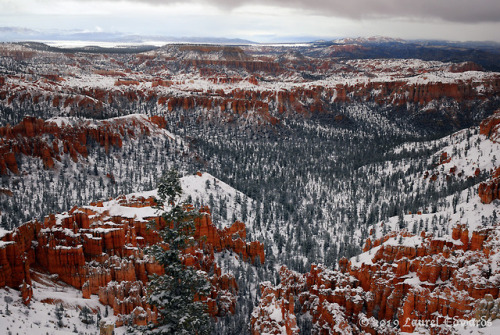 jadewolf-photography: Snow on the Hoodoos Bryce Canyon National Park