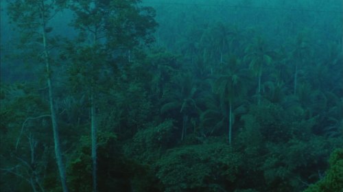 absencesrepetees:days of being wild (wong kar-wai, 1990) 