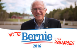 Musicalmarauder:  Raggedick:    Ok Tumblr, I See A Lot Of Reblogs For Bernie Here