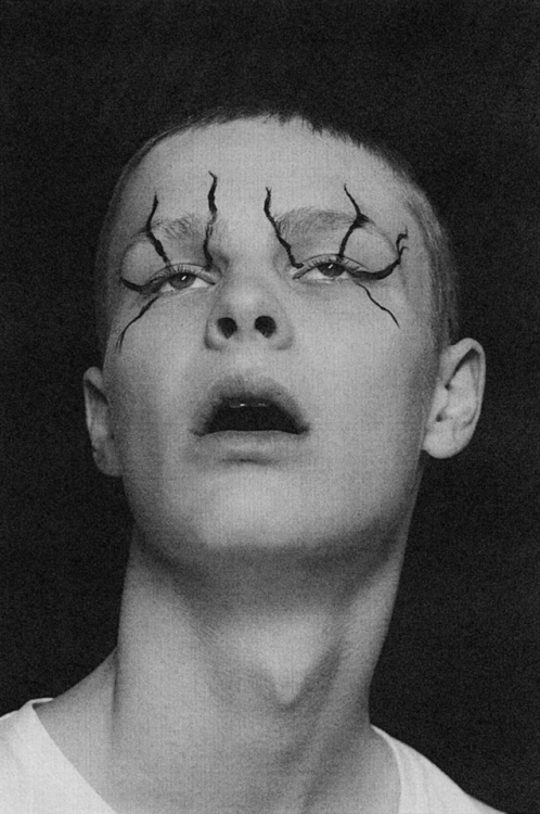 vampire-canneberge: ph. Jackson Bowley