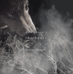 madeinwonderlnd:  “I am not a wolf, no matter what they call me.” Robb sounded cross. 