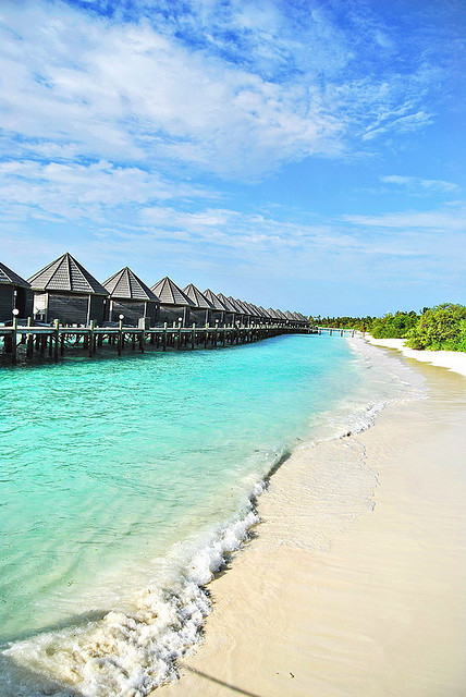 the-ocean-paradise: