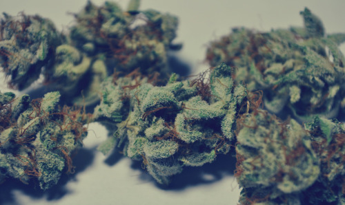 the-stoners-blog:  Stoner Supply co. Weed Socks, Hats,Beanies & More! Store // Facebook // Instagram