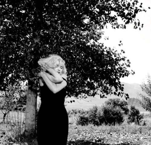 summers-in-hollywood:Marilyn Monroe filming The Misfits, 1960. Photos by Inge Morath 