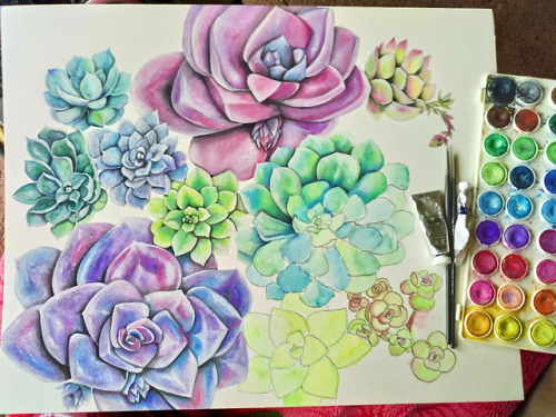 Blue-green succulent was the easiest one to paint. Maybe it’s the colors, maybe something else, but 