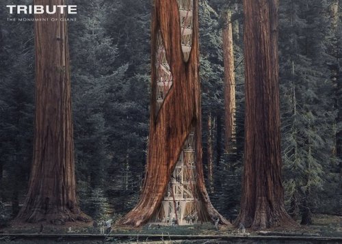 Architects want to put skyscrapers inside hollowed-out Giant Sequoia trees in California