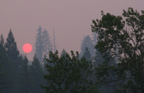 expressions-of-nature:California wildfires, sunset &amp; sunrise by Gary Robertson