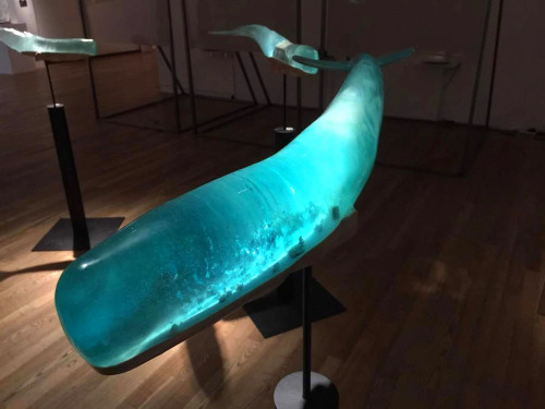 coolthingoftheday:  Samsara is the name of a project by Japanese artist Isana Yamada. Composed of six translucent whales mounted on podiums that are lit from within, the interior of the sculptures showcase six different landscapes, including shipwrecks,