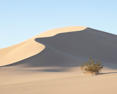 Dune in Clear Light. 2019James Watts