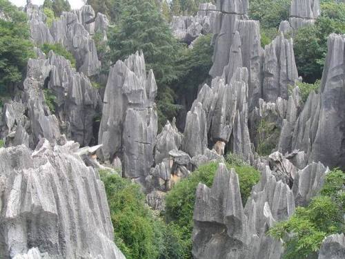 Shilin - a forest made of stoneShilin Forest Stone is an impressive karst landscape located in the S