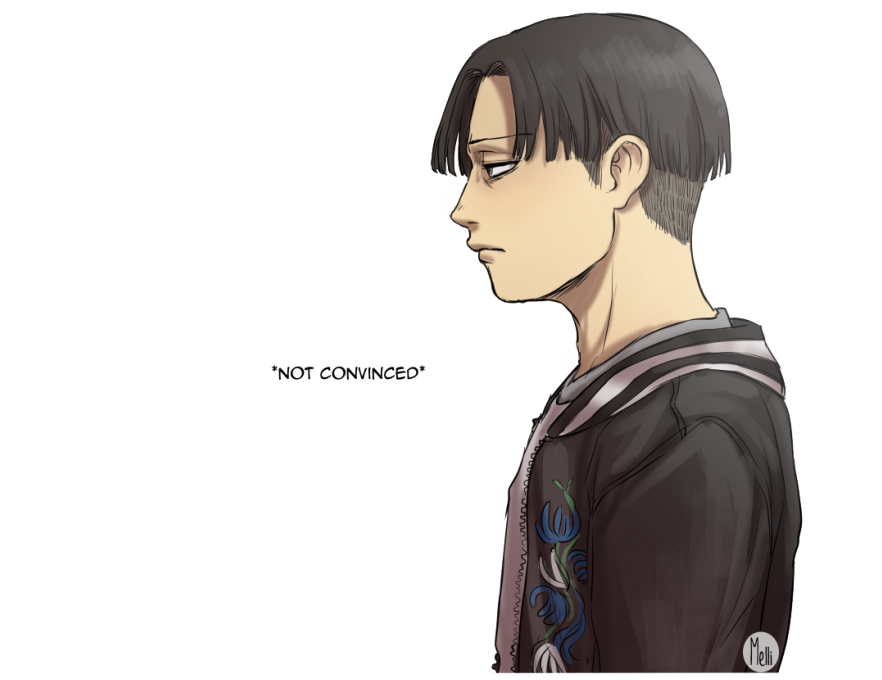 Ask Levi Ackerman — If you could have a hairstyle, what...