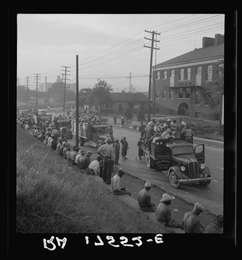 Cotton hoers from Memphis, Tennessee are carried by trucks to the Arkansas plantations (1937).These 