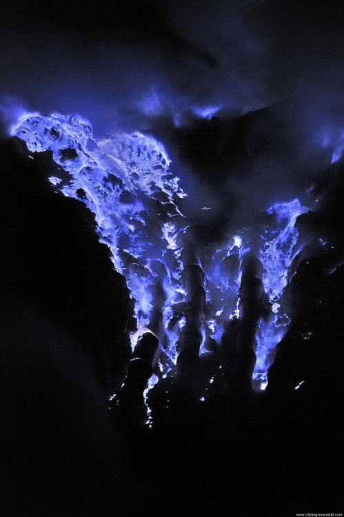 life-globe:  Electric Blue Lava Flows From Indonesia’s Deadly Kawah Ijen Volcano There is a group of volcanoes in Indonesia that spew lava that burns with  brilliant blue flames. Located in East Java, the Ijen volcano complex is a group of stratovolcanoes
