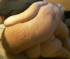 XXX hemtek:Pure fucking LARD! photo