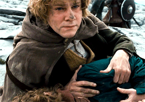 andthwip:Displays of physical affection in The Lord of the Rings (2001—2003)