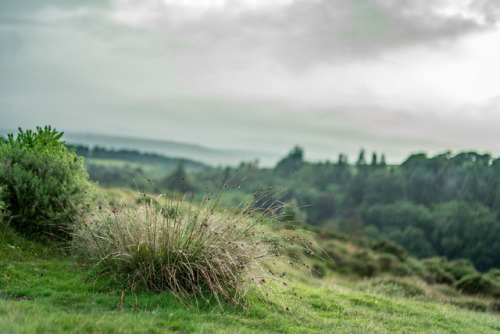 stephenearp:Raining again