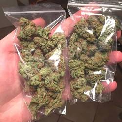 cannabismunchies:  CannabisMunchies 🍁🍁🍁